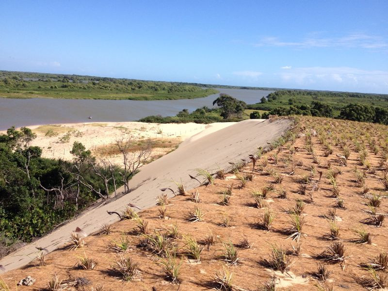 Projeto quer conter dunas do litoral do Piauí através do plantio de mudas