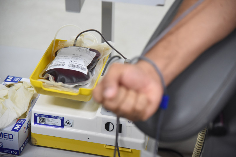 Dia do Doador de Sangue: tipos negativos tendem a ter menos estoque no Hemopi