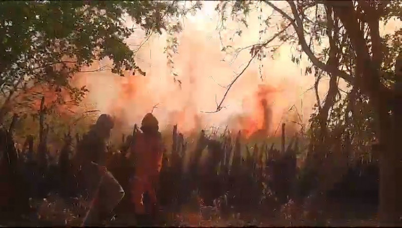 Bombeiros trabalham no combate ao incêndio próximo ao parque nacional da serra das confusões - (Ascom Corpo de Bombeiros)
