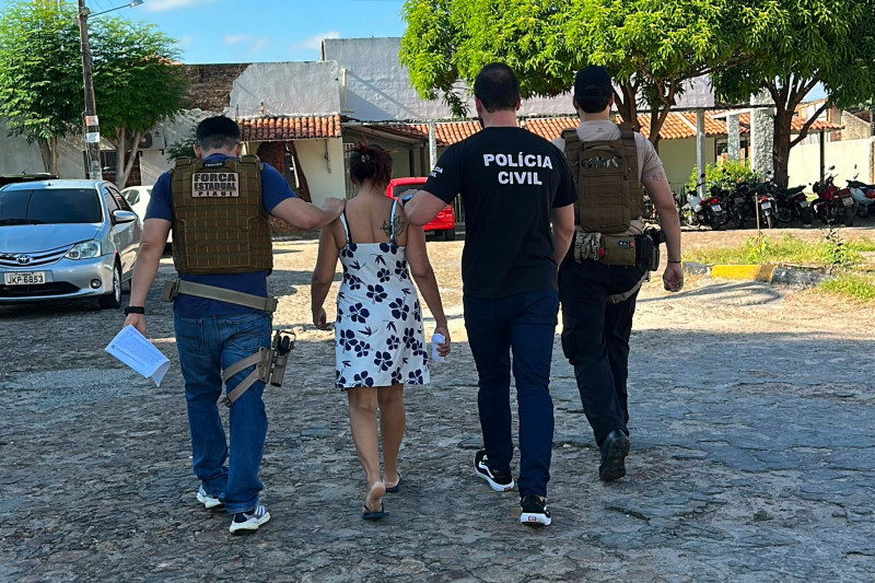 Mulher suspeita de tentar levar recém-nascida de maternidade em Teresina é presa