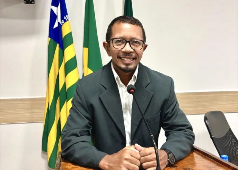Vereador morre após sofrer ataque de abelhas no Piauí. - (Reprodução)