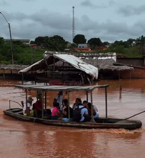 Nível do Rio Parnaíba sobe em Uruçuí e invade casas em comunidades ribeirinhas - (Reprodução)