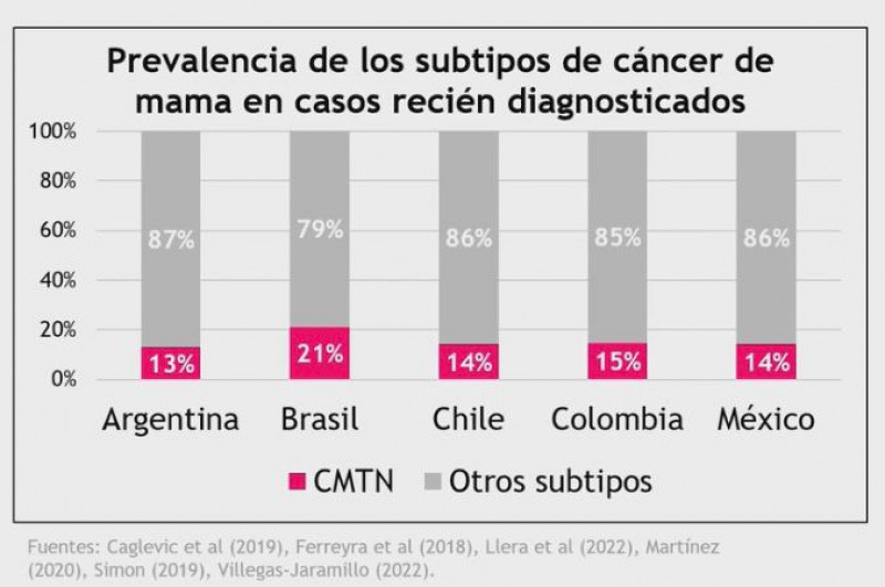No Brasil, 21% das pacientes têm Câncer de Mama Triplo-negativo - (Divulgação/IHE)