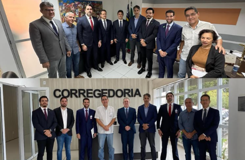 Nesta terça-feira (08), representantes do CRECI-PI e do Sinduscon-PI se reuniram com o TJPI, Alepi e OAB-PI - (Reprodução/Instagram)