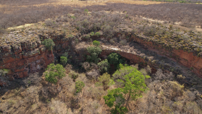 Caatinga, bioma encontrado na região Nordeste e em parte de Minas Gerais. - (Divulgação / Semarh)