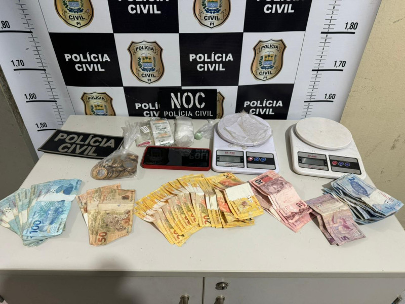 Op. Cerco Fechado: 63 pessoas são presas no Piauí por estupro e violência doméstica - (Divulgação/Polícia Civil)