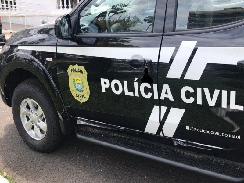 Polícia Civil do Piauí - (Divulgação/Polícia Civil do Piauí)