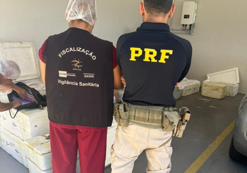 PRF apreende 650 kg de queijo e pescado sem documentação no Piauí