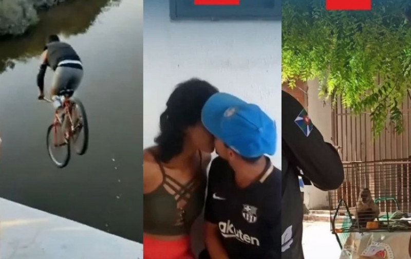 ‘Cowboy Selvagem’, beijo na delegacia, macaco Chico e mais: oito casos mais inusitados no Piauí em 2023