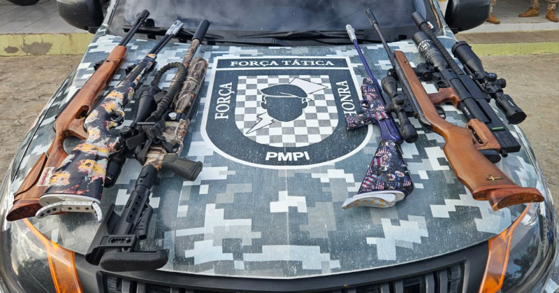 Homem é preso com armas e mais de 100 munições durante operação no Piauí