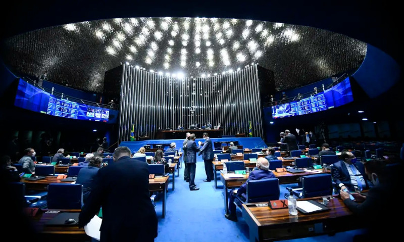 Senadores piauienses questionam decisões de Flávio Dino que limitam “emendas pix”