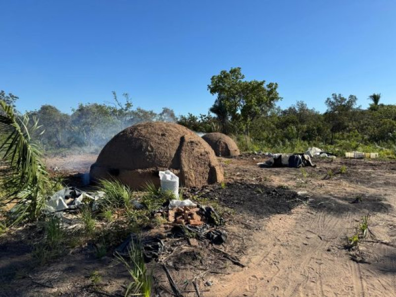 Trabalhadores são resgatados de condições análogas à escravidão em carvoaria no sul do Piauí - (Divulgação/MPT)