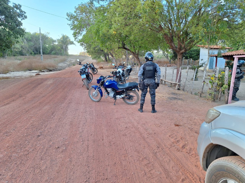 Operação contra grau em Teresina e no interior - (Divulgação / SSP-PI)