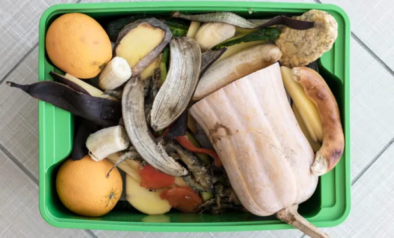 1,3 bilhão de toneladas de alimentos são desperdiçadas globalmente - (Freepik)