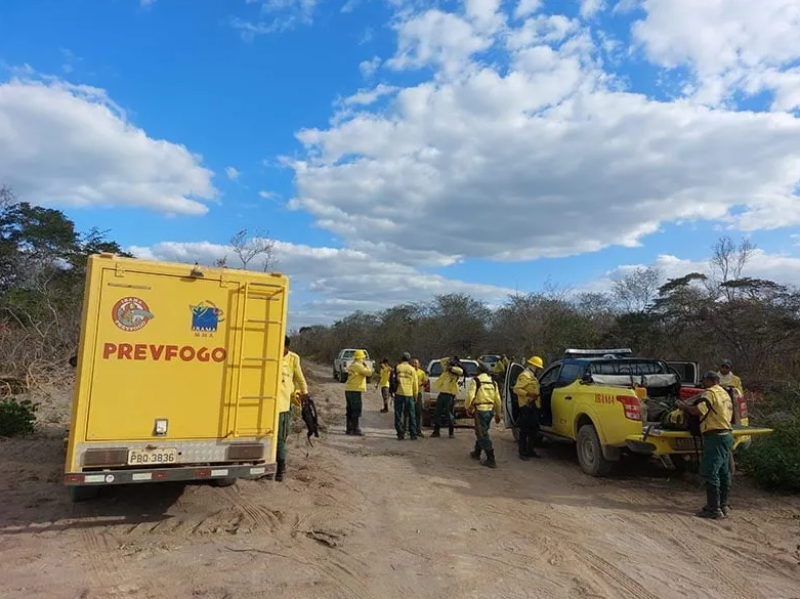 Incêndio na Serra das Confusões: fogo é controlado após uma semana - (Divulgação/Ibama)