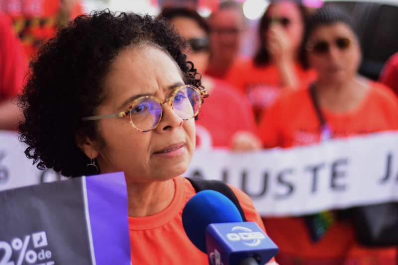 Lucineide Barros, coordenadora geral do sindicato uespi - (Jailson Soares/ O DIA)