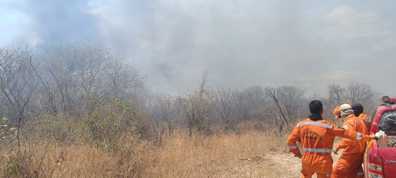 Bombeiros tentam combater incêndio em Pedro Laurentino; fogo ameaça propriedades