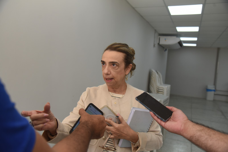 A delegada Eugênia Villa explica como se caracteriza o estupro - (Assis Fernandes/O Dia)