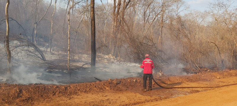 Registros do corpo de bombeiros combatendo incêndio no sul do Piauí - (Zeca Moreno/ O DIA)