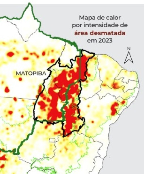 Na região do Matopiba, Piauí foi o único estado que teve redução da área desmatada em 2023