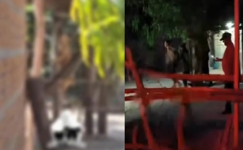Suspeito de usar corda para enforcar e matar cachorro em José de Freitas é preso