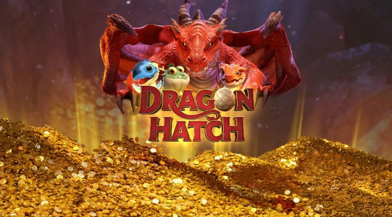 Dragon Hatch, aprenda a jogar o jogo do dragão