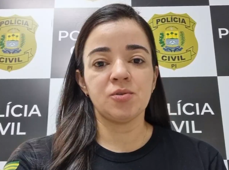 Delegada Amária Sousa, da delegacia de Canto do Buriti e da Delegacia Especializada no Atendimento à Mulher e aos Grupos Vulneráveis - (Reprodução)