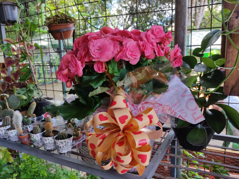 Buquê de flores custa R$ 80 em Teresina - (Glayson Costa /)