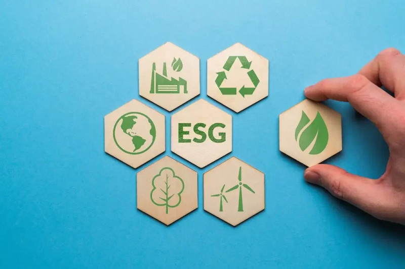 O que é ‘ESG’? Entenda a importância desse modelo para a gestão dos negócios - (Shutterstock)