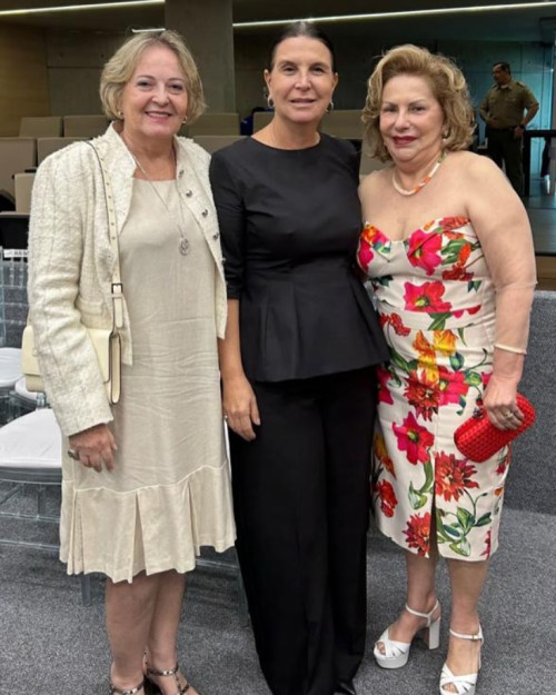 #Migas - Um click das queridas amigas Ravena Napoleão, Adriana Napoleão e Leda Napoleão em manhã de solenidade na ALEPI. Chics!!!  - (Arquivo Pessoal)
