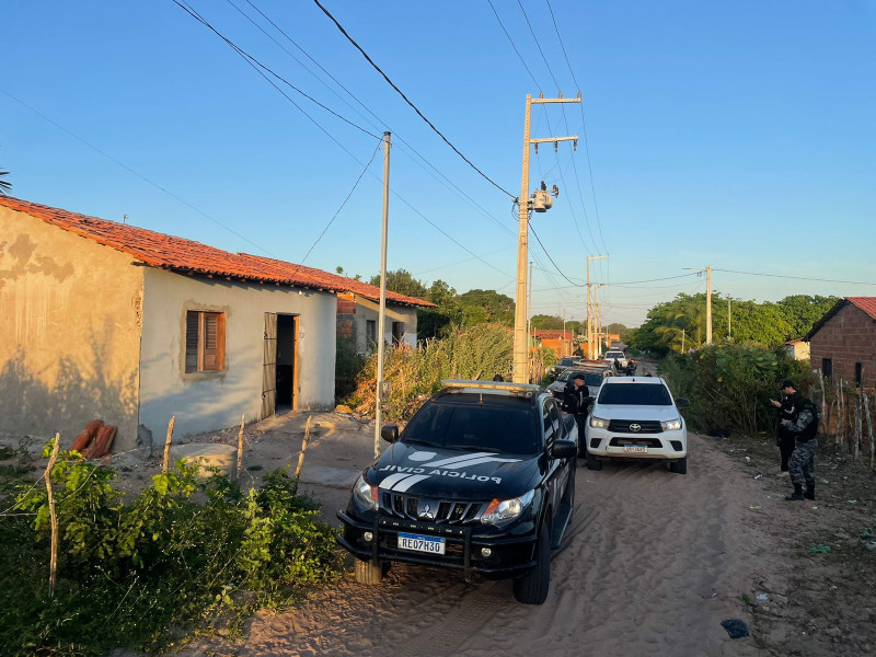  A operação foi realizada no Parque José Estevão, em Parnaíba - (Divulgação)