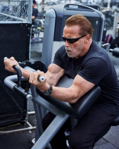 Arnold Schwarzenegger é detido no aeroporto de Munique