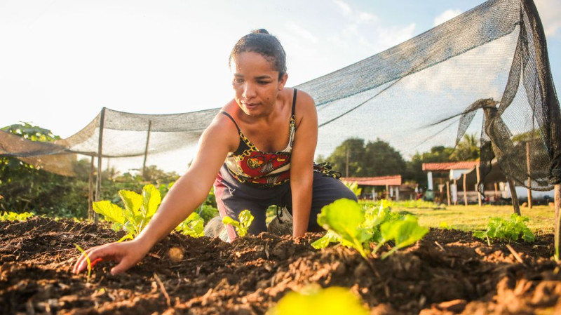 Projeto quer investir R$ 250 milhões na agricultura familiar do Piauí em 2025