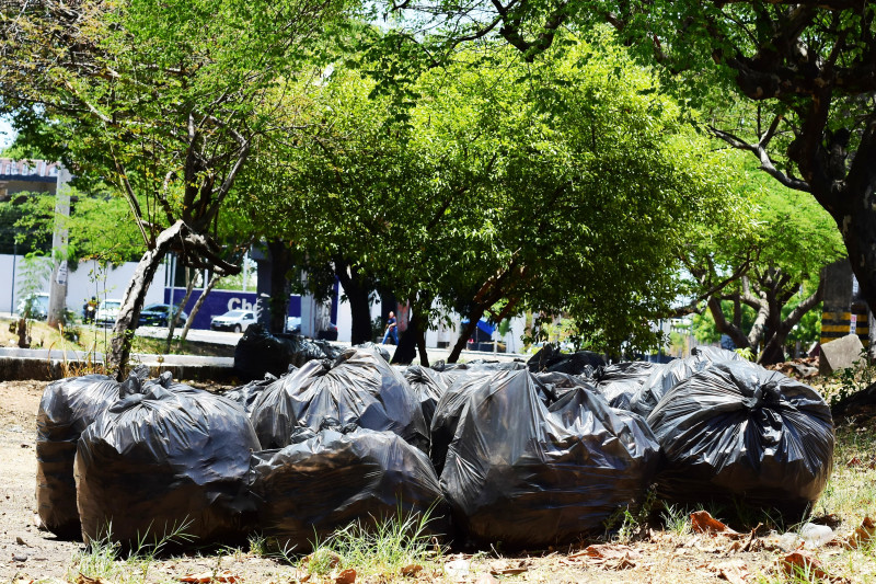 Trabalhadores da limpeza urbana de Teresina paralisam atividades nesta segunda (04) - (Jailson Soares/O Dia)