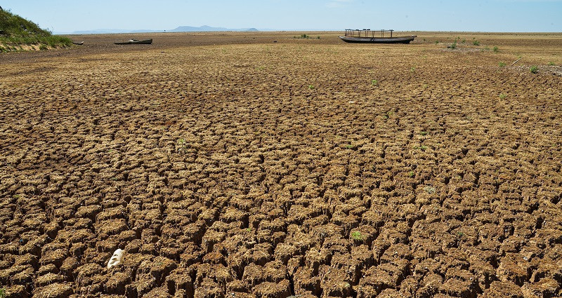 Piauí foi o estado do Nordeste com maior severidade de seca em abril - (Marcelo Casal Jr/Agência Brasil)