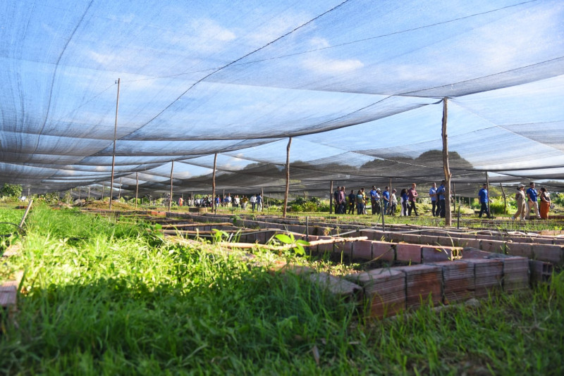 G20 visita programas contra fome e incentivos à agricultura familiar em Teresina - (Jailson Soares / O DIA)