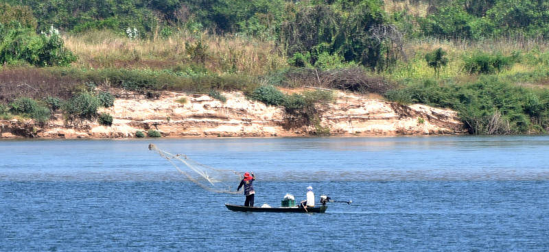 Limpo, o rio consegue manter todo o ecossistema e garantir o alimento e a denda de pescadores - (Assis Fernandes/ODIA)