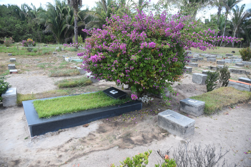 Cemitério Cadelinha Sasha - (Assis Fernandes/ODIA)