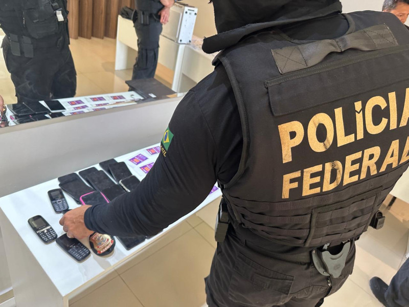 Polícia Federal desarticula grupo criminosos que desviava benefícios do Auxílio Emergencial - (Divulgação / Polícia Federal - PI)