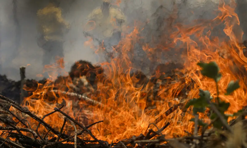 Queimadas podem contribuir para temperaturas recordes em setembro no Piauí - (Joédson Alves/Agência Brasil)