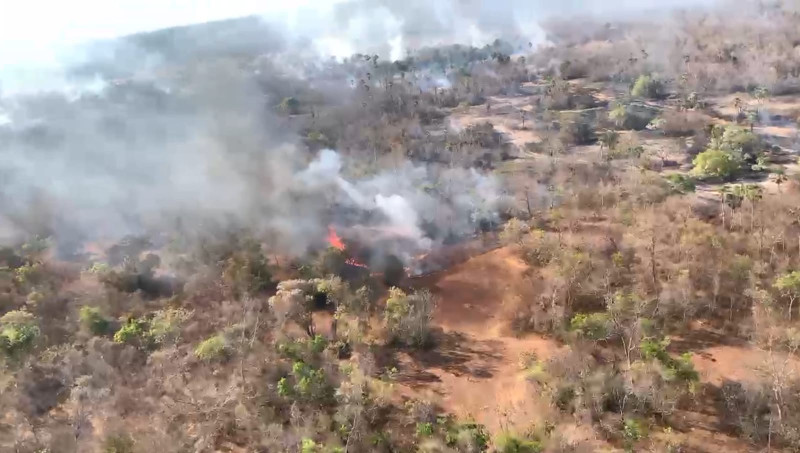 Bombeiros controlam incêndio de grandes proporções em vegetação em Campo Maior