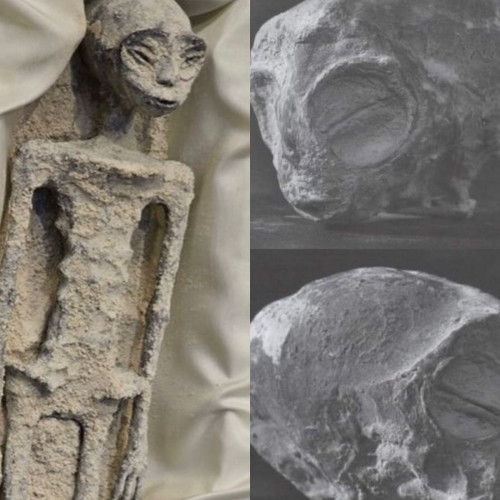 Corpos de supostos aliens são exibidos no México  - (Reprodução)