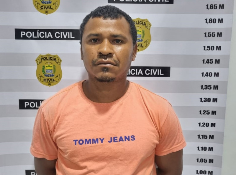 Ricardo Alves da Silva foi preso pelos crimes de feminicídio tentado e estupro - (Divulgação/SSP-PI)