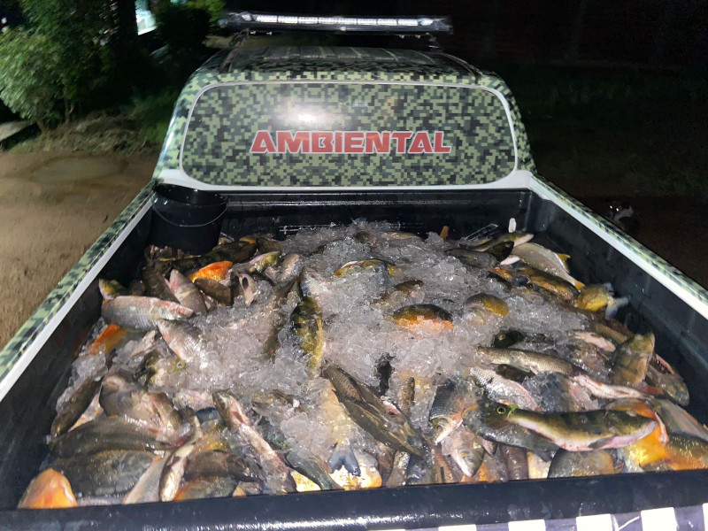 PM apreende 300Kg de peixe transportados ilegalmente no interior do Piauí