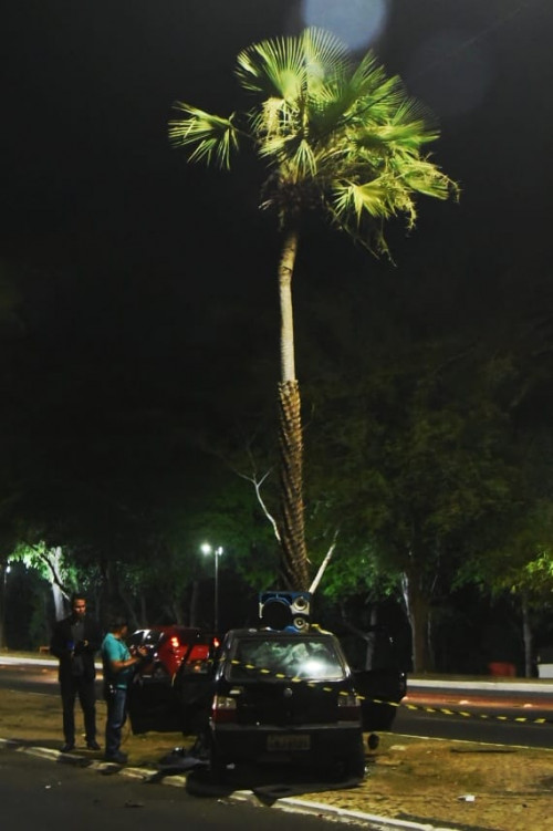 Carro colide contra árvore na Avenida Marechal Castelo Branco. - (Jailson Soares/O Dia)