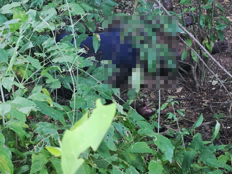 Corpo de um homem é encontrado em estado de decomposição no bairro Ilhotas