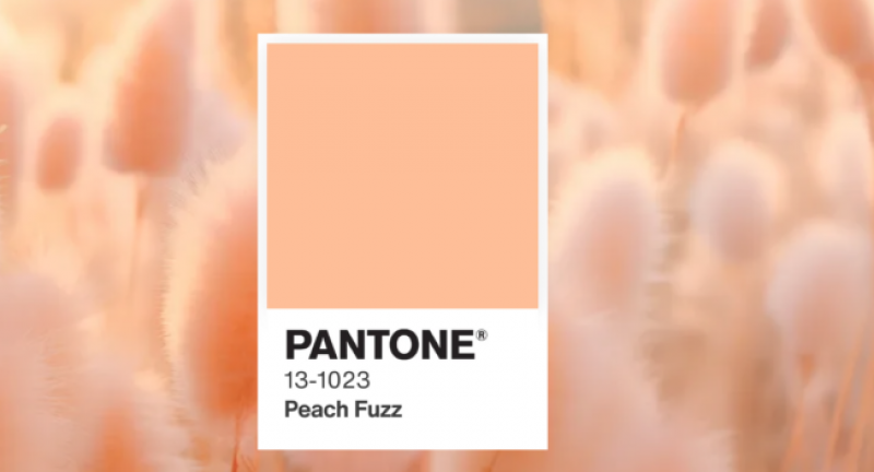 'Peach Fuzz' é a cor de 2024 - (Reprodução/Instagram)
