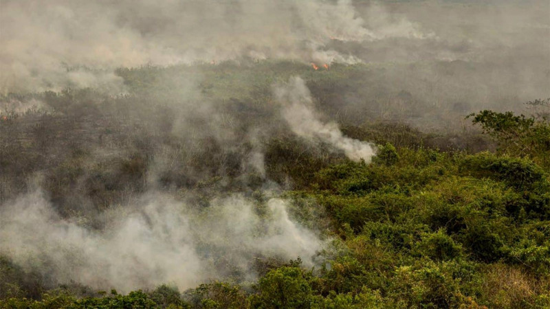 Rios de Fumaça: Incêndios na Amazônia e Pantanal afetam qualidade do ar em 10 estados - (Imagem: Marcelo Camargo/Agência Brasil))