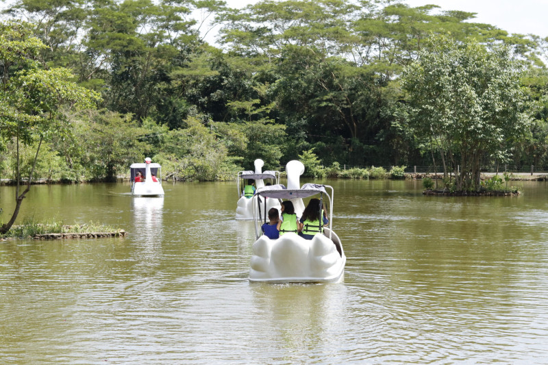 O Bioparque Zoobotânico do Piauí é uma área de proteção e conservação de fauna e flora  - (Governo do Piauí)