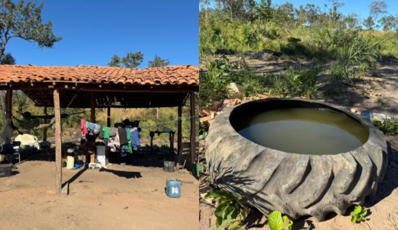 Trabalhadores são resgatados de condições análogas à escravidão em carvoaria no sul do Piauí